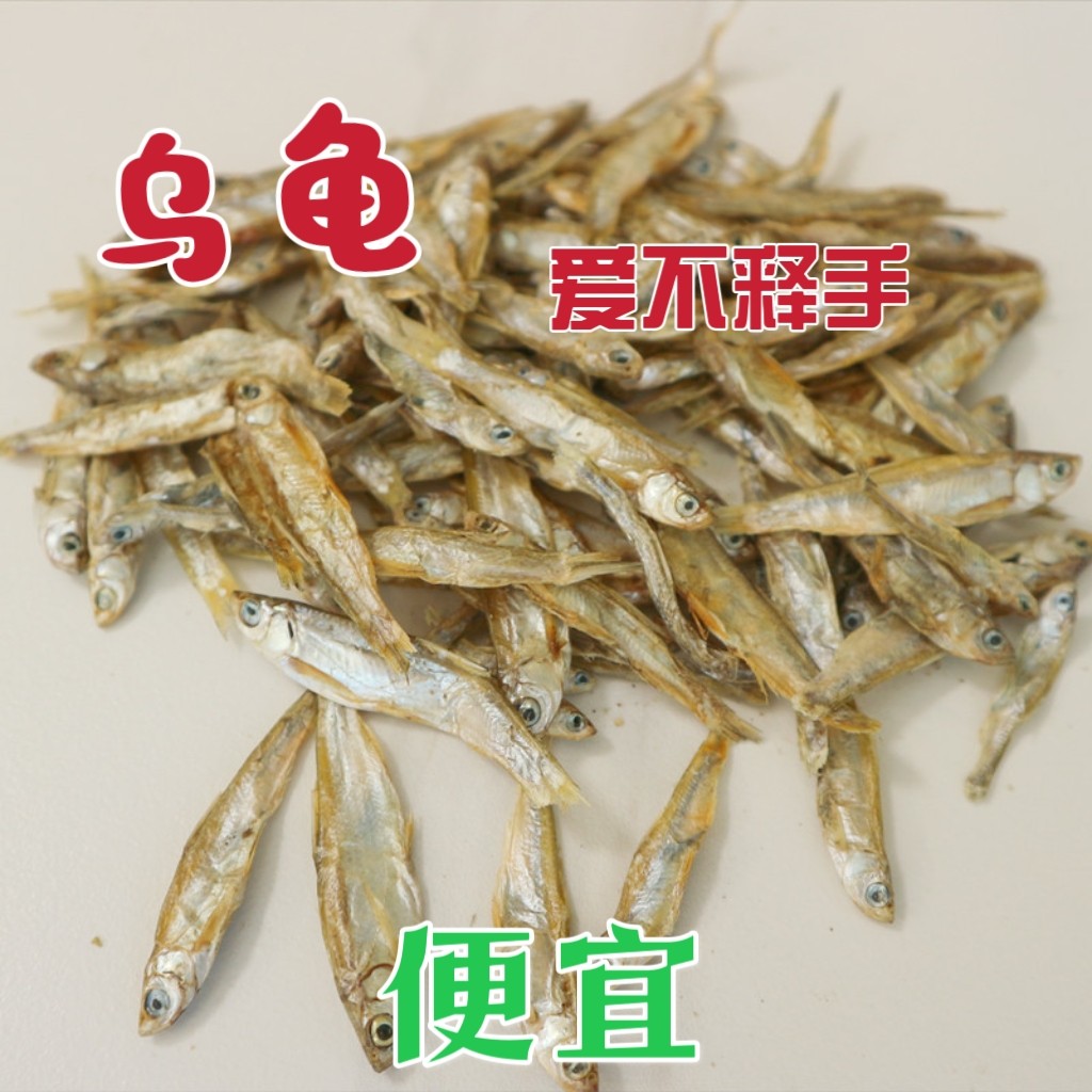 龟粮小鱼干乌龟饲料淡水虾干巴西龟吃食物猪鼻龟零食鳄龟散装猫咪,宠物/宠物食品及用品,观赏龟/鳖饲料,淘宝优惠券,粉丝福利购,淘宝优惠卷