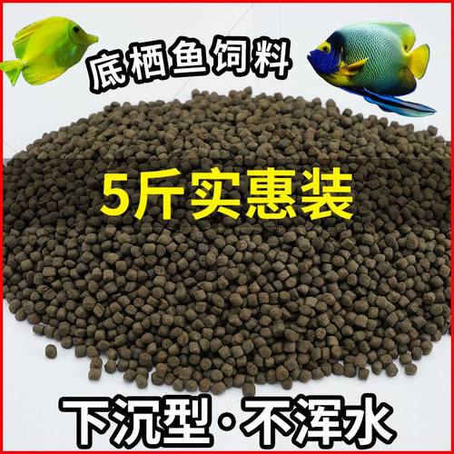 底栖鱼饲料甲鱼食下沉型兰寿锦鲤蝴蝶鲤鹦鹉鱼蓝鲨招财猫银龙通用