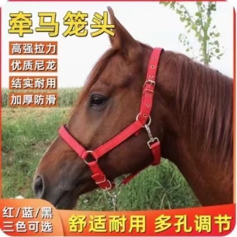 君杰马具马笼头牵引笼套防磨红