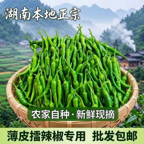 湖南本地正宗樟树小辣椒新鲜现摘农家自种批发包邮薄皮擂辣椒专用