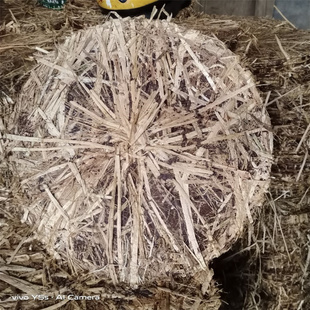 新鲜桐油枯饼现榨桐枯饼防治地下虫蔬菜果树增产农家天然