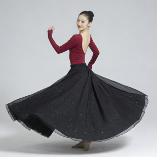 古典舞蹈服V领纱衣身韵网纱上衣女形体练功服艺考大摆半身裙长裙