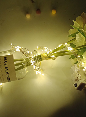 LED花环灯串 10灯花环材料灯串DIY彩色夜光闪光七彩灯50cm一根