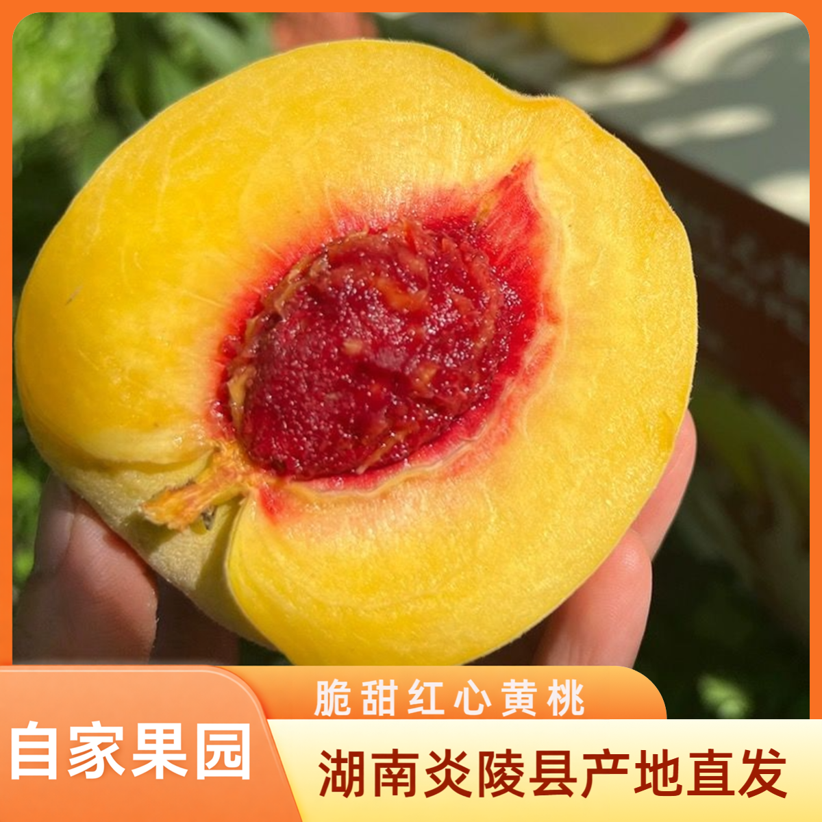 正宗炎陵黄桃湖南株洲高山红心锦绣黄桃厘爽脆新鲜头茬果坏果包赔