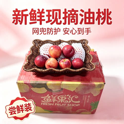 珍珠一号油桃小蜜桃裸重9斤