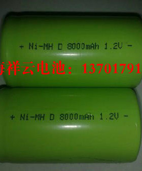 镍氢电池 NI-MH D8000mAh 1.2V