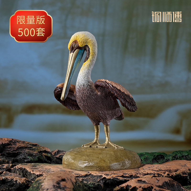 《铜师傅百鸟集》之褐鹈鹕图片