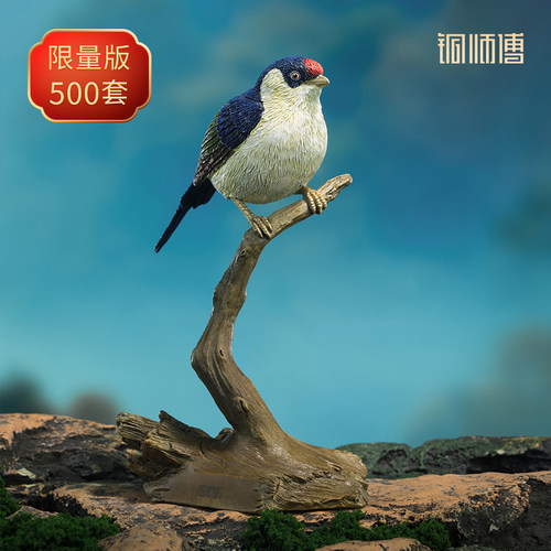《铜师傅百鸟集》之针尾娇鹟