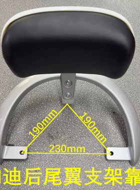 新国标车雅的迪电动车M6后尾翼后扶手后靠背总成m6轻摩版靠背支架