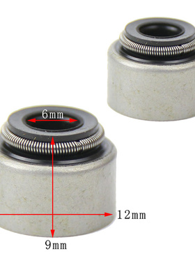 全地形车环松HS800消防车沙滩车林海YP250 260 LH300 400气门油封