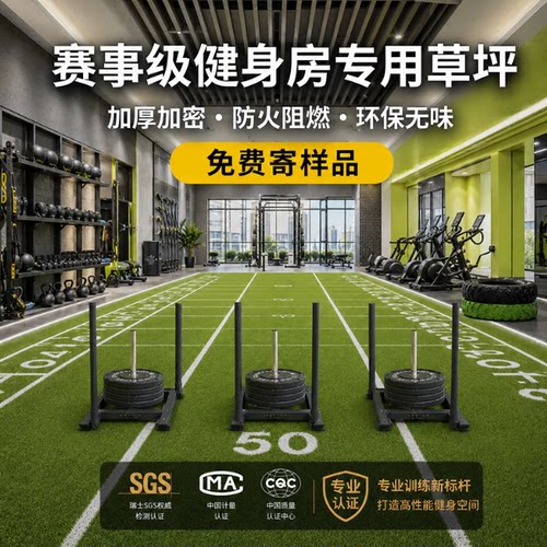 健身房幼儿园定制仿真草坪