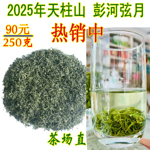 2025年新茶安徽潜山特产天柱山茶叶弦月毫月彭河玄月绿茶炒青包邮