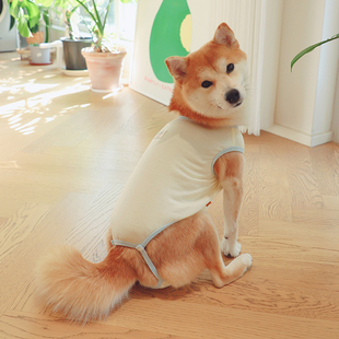 柴犬生理裤姨妈巾护垫安全裤月经裤柴犬母狗衣服生理期吊带背心