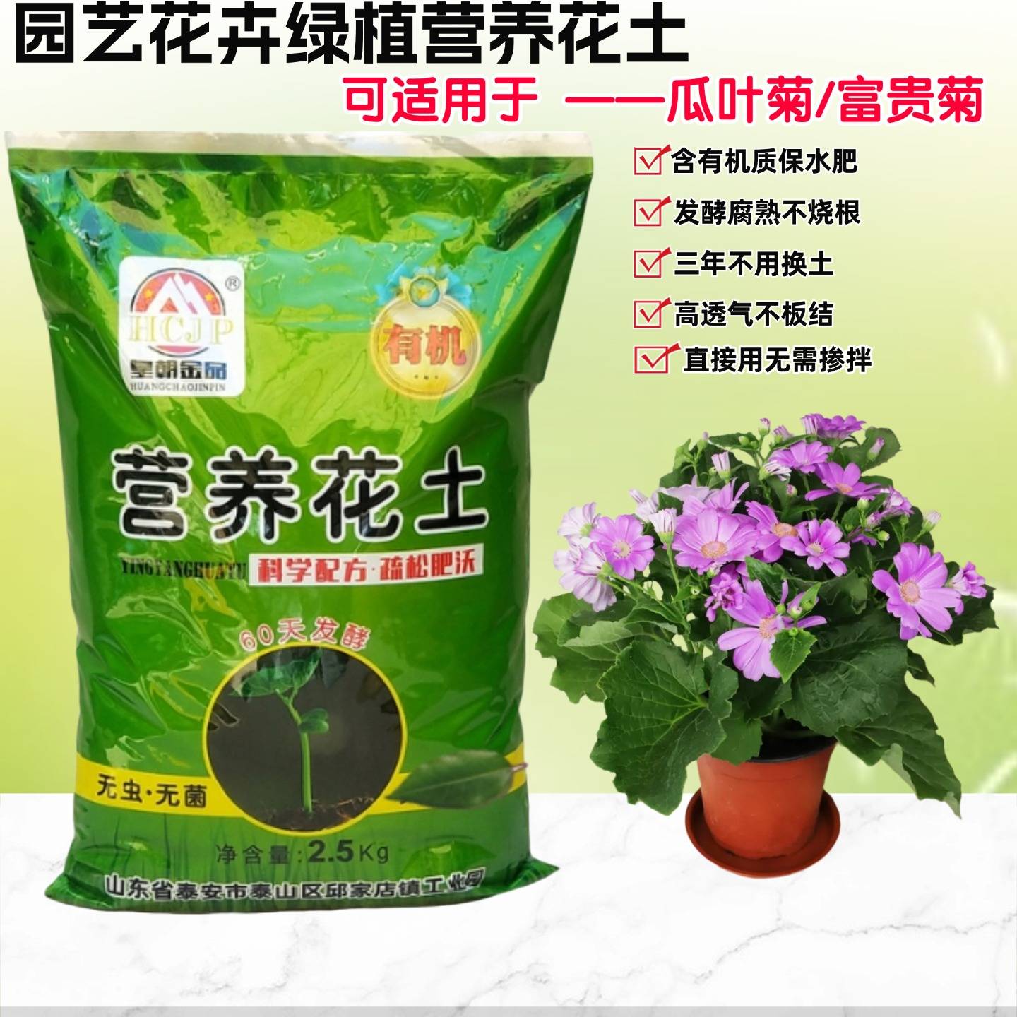 瓜叶菊富贵菊营养花土室内蓝目菊雏菊盆栽绿植酸性养花种植专用土