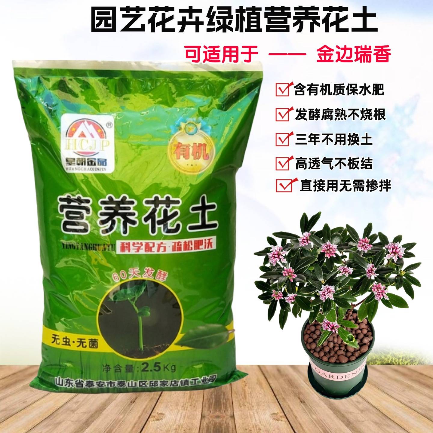 金边瑞香盆栽营养花土肥沃种植土图片
