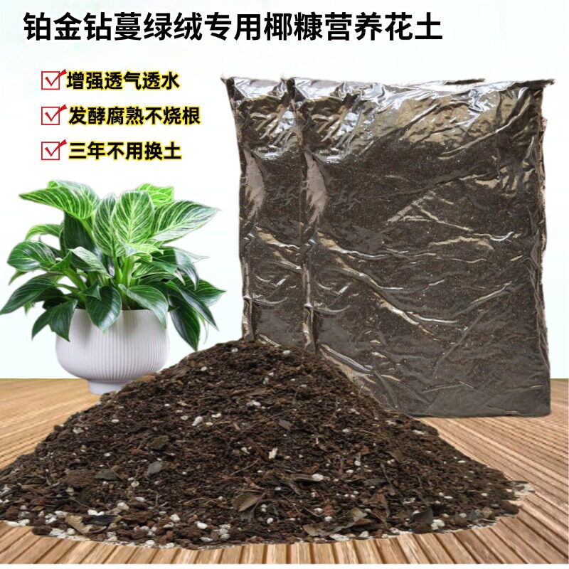 铂金钻蔓绿绒绿钻肥沃椰砖营养土