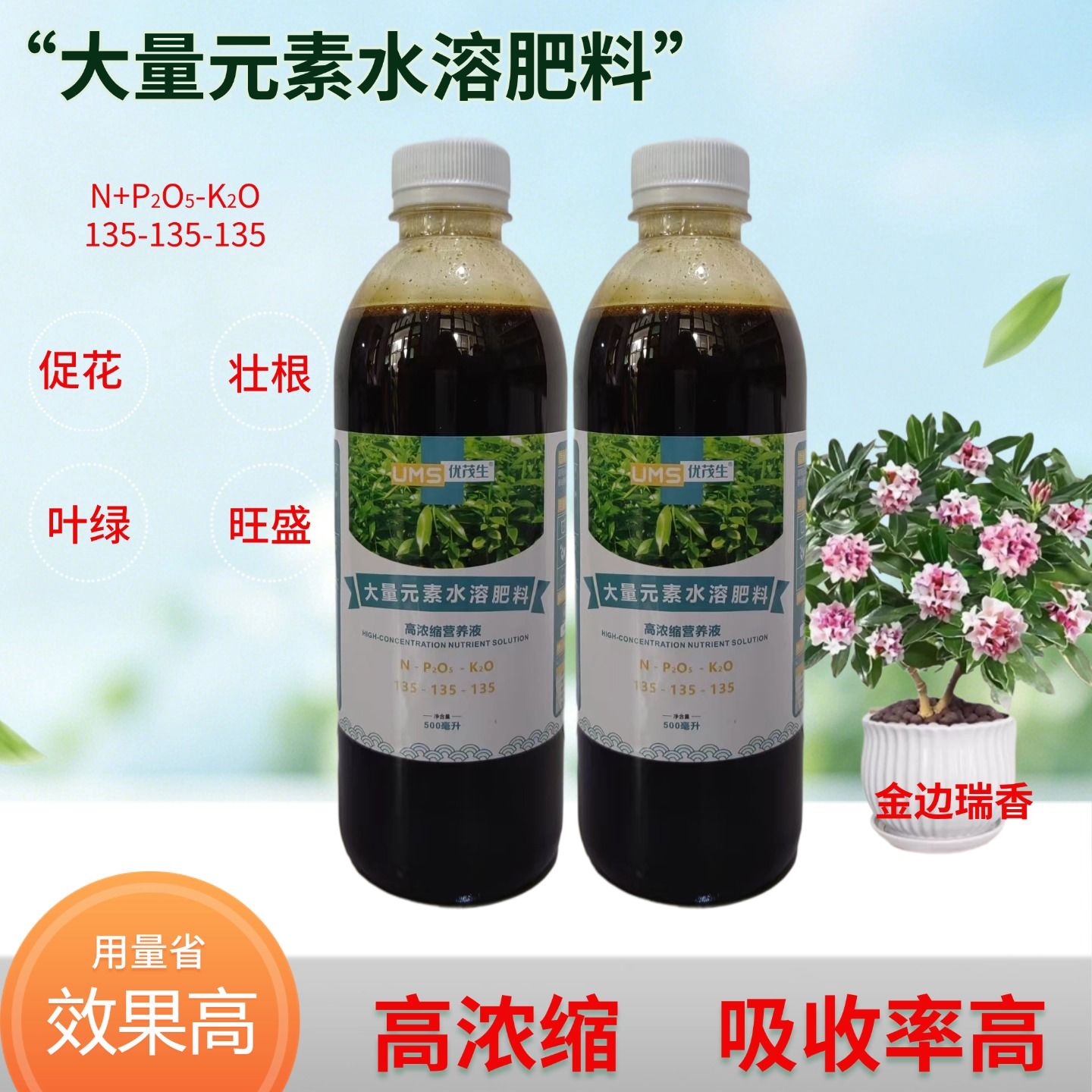 瑞香花金边瑞香浓缩营养液室内老桩盆栽绿植专用大量元素水溶肥料图片