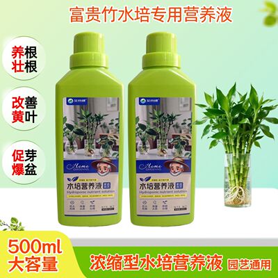 富贵竹水培专用营养液肥料