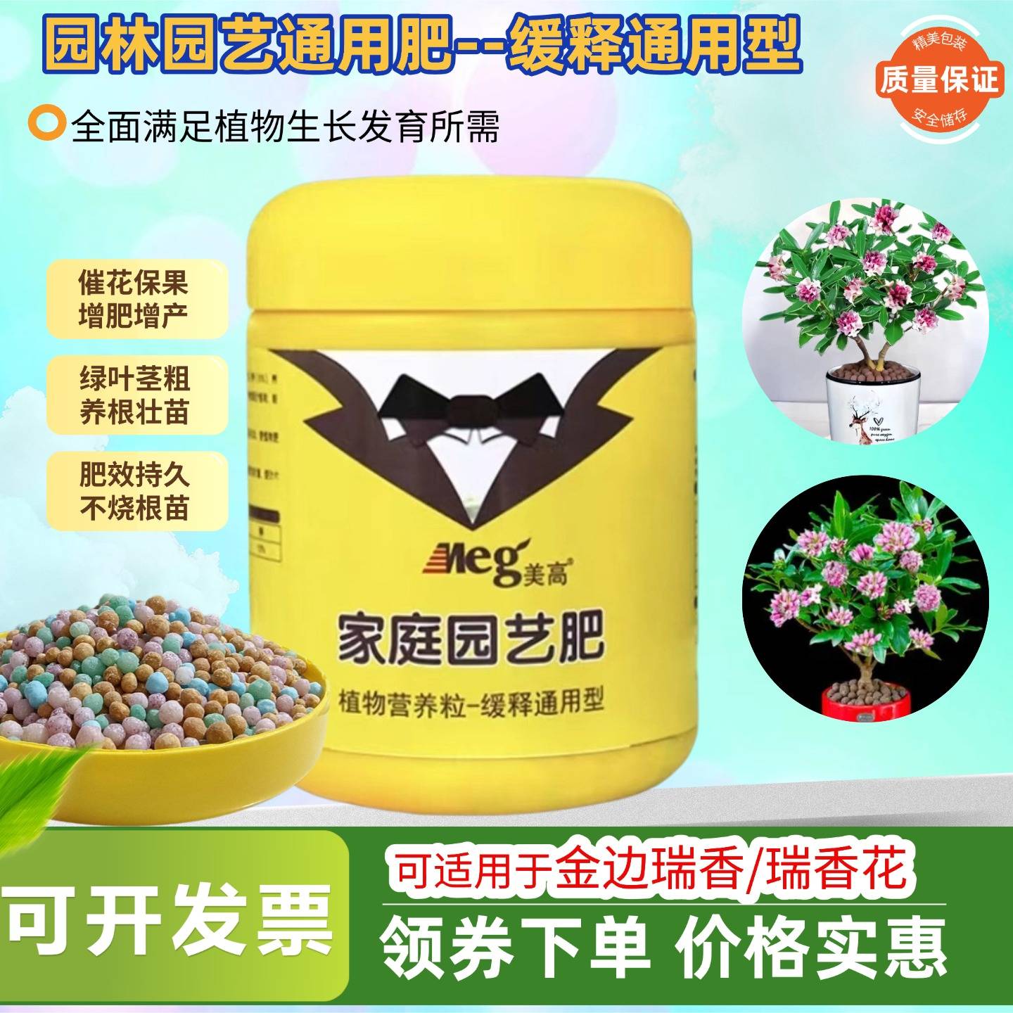 瑞香花金边瑞香缓释肥室内阳台老桩盆栽绿植通用氮磷钾专用花肥料图片