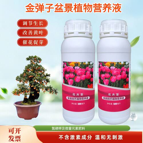 金弹子盆景植物营养液室内挂果老桩老鸦柿氮磷钾水溶专用花卉肥料