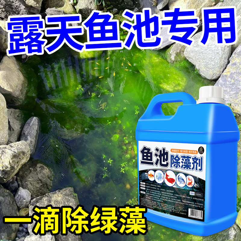 鱼池绿水绿藻青苔除藻剂浮萍水藻除垢剂高效除藻不伤鱼鱼缸净水$