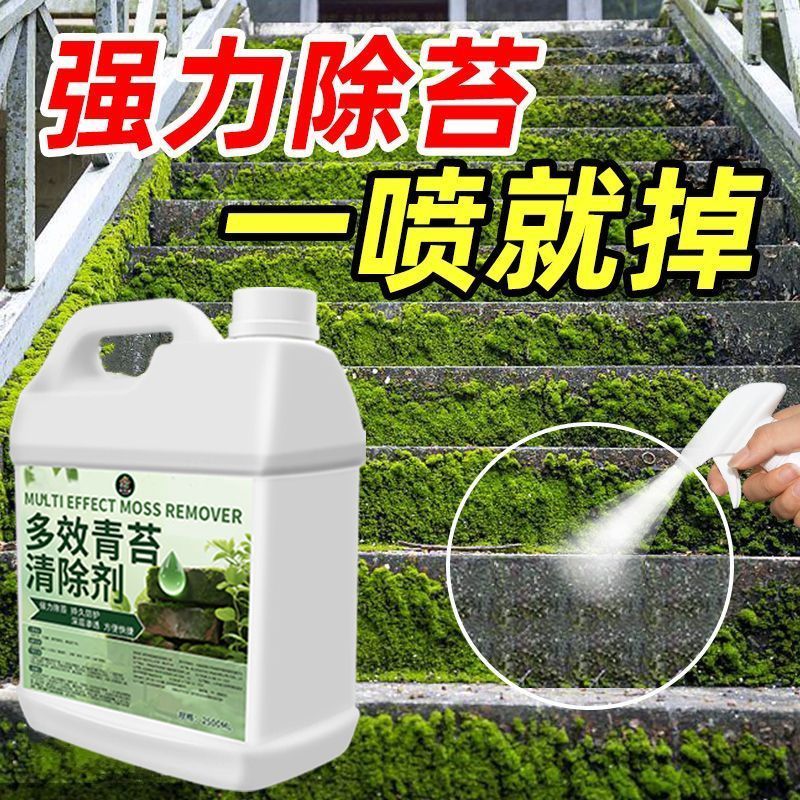青苔清除剂水泥地面墙面苔藓水池鱼池管道除藻剂洗青苔药水克星#
