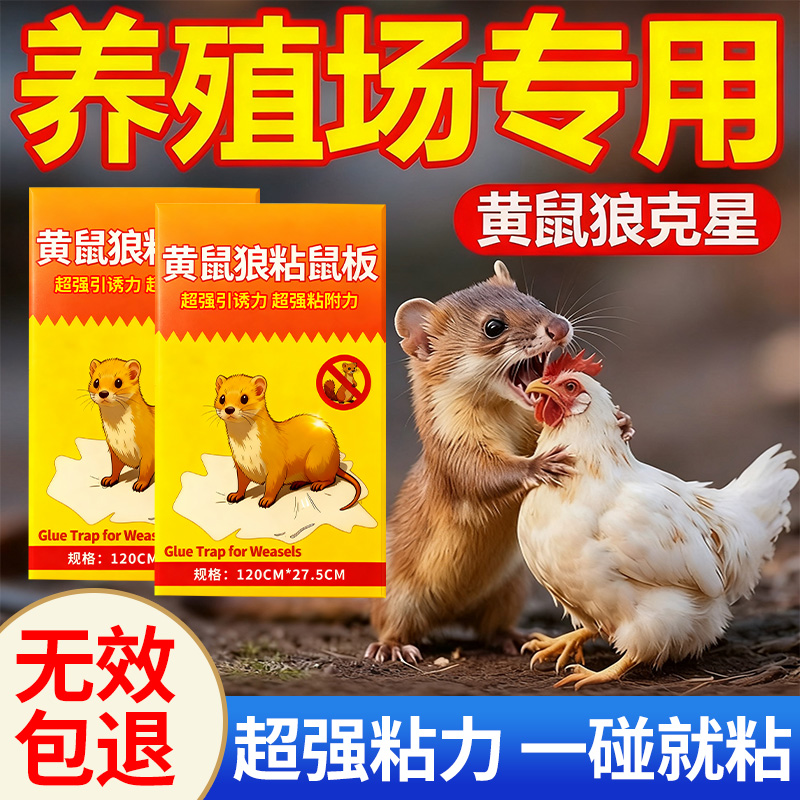 黄鼠狼粘鼠板户外鸡舍养殖场专用