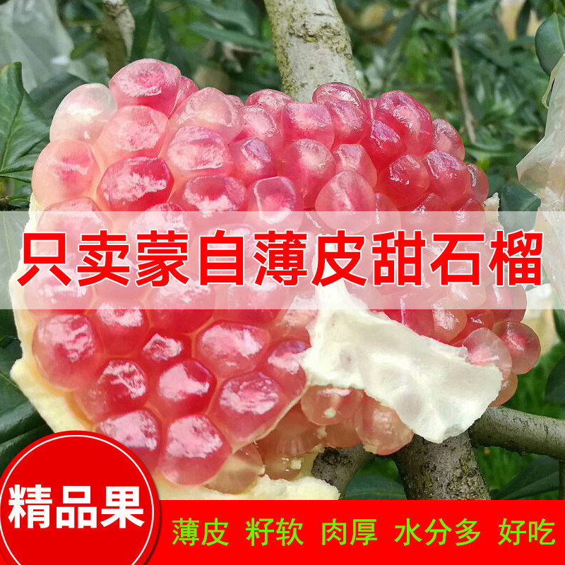现摘现发甜石榴云南蒙自新鲜石榴