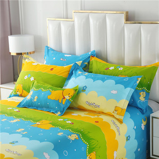 100%纯棉枕套卡通儿童全棉小枕套30x50 48x74cm单人枕头套 40x60