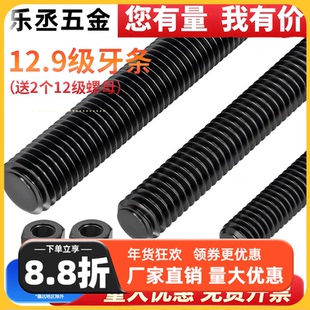 12.9级高强度牙条发黑碳钢丝杆螺杆螺母套装全螺纹螺栓通丝6M8M10