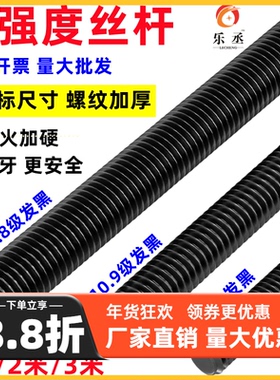 8.8级高强度牙条12.9级丝杆通丝杠全螺纹杆6M8M10M12M14M16M20M24