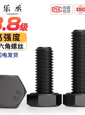8.8级高强度外六角螺丝螺栓加长螺丝钉M3M4M5M6M8M10M12M16M20M24
