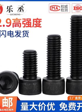 乐丞M2-M20全牙内六角螺钉12.9级高强度螺栓杯头圆柱头M3M4M5M6M8