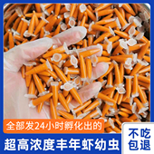 丰年虾卵鱼饲料鱼粮热带鱼水母孔雀鱼苗鱼食开口粮增艳卤虫脱壳