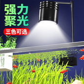 鱼缸灯led爆藻灯筒灯变色原生射灯南美溪流水草灯照明观赏水族箱