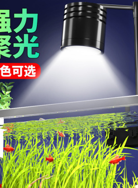 鱼缸灯led爆藻灯筒灯变色原生射灯南美溪流水草灯照明观赏水族箱