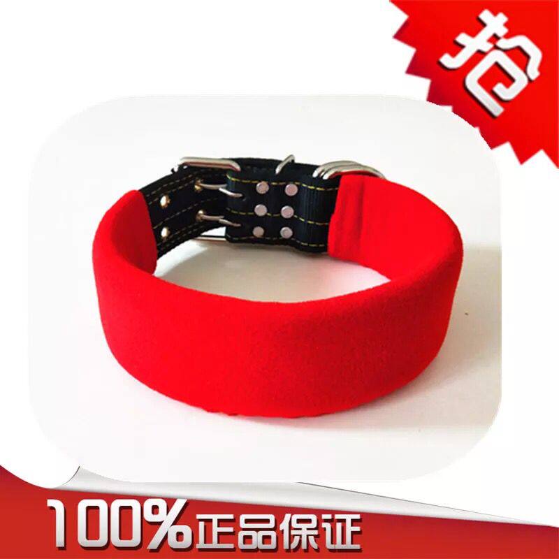 狗项圈中型犬加棉项圈加厚脖圈猛犬训练用品脖套大型犬颈圈比特犬