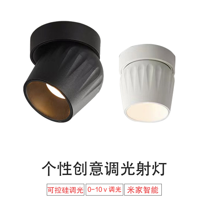 可控轨调光射灯明装可调角度图片