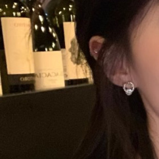 骄阳似我聂曦光赵今麦同款耳环小众闪锆石耳钉女时尚轻奢气质耳饰