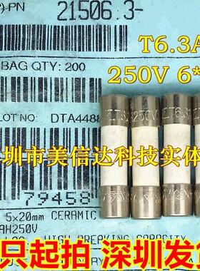 进口 T6.3AH 6.3A 250V 5X20 5*20 不带引线 陶瓷保险管