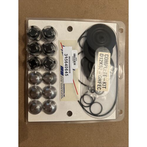 WANNER D12K52GHFEC COMPLETE REPAIR KIT
