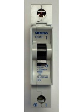 Siemens Leitungsschutzschalter / 220V DC / 230/400 AC / 5SX5