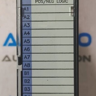 Modulo Di Ingresso 24VDC FANUC 16PT INPUT POSNEG LOGICA NUOV
