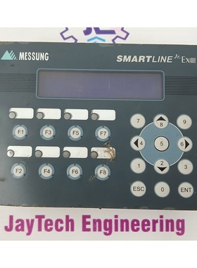 MESSUNG SL JR EX 2002V2 SMARTLINE JR EX 系列蓝色背光液晶模块