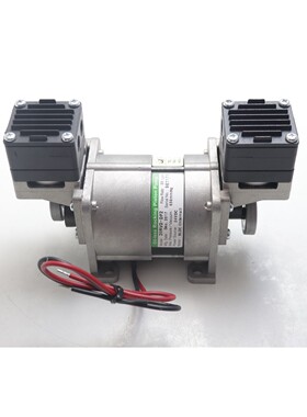 G&M 无油摇摆活塞泵 20RVD-DF2