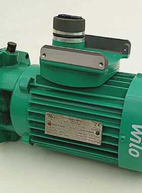 Wilo W0710802F154E Pumpe Trockenluferpumpe 055kW 2860Umin Pu