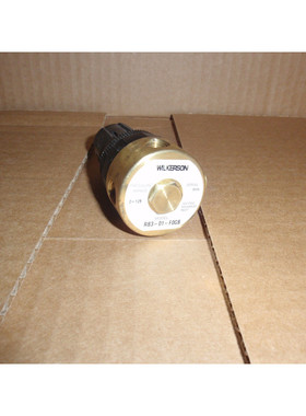 RB3-01-F0GB Wilkerson Pneumatisch Neu Druckregler 1/8 Npt RB