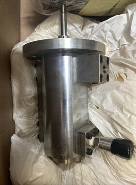 GUSMER 38810A-15 CURATIVE PUMP。 全新!!