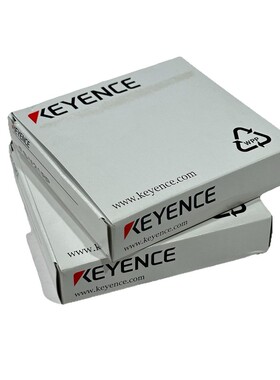 Keyence FSV21RP 全新 1 件