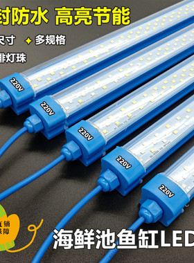 220V海鲜池鱼缸LED照明灯节能防水方管蓝色外壳PVC管道配件灯光